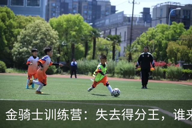 金骑士训练营：失去得分王，谁来拯救我们的冰球之梦？